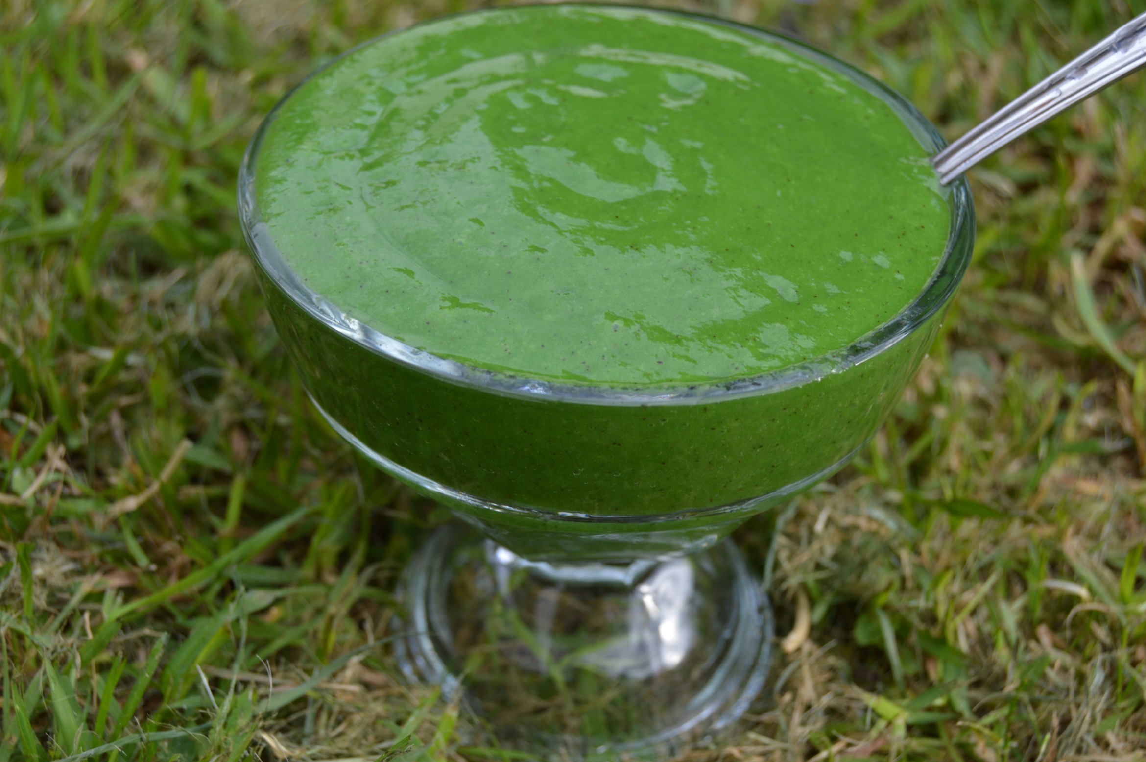 GREEN SORBET SMOOTHIE